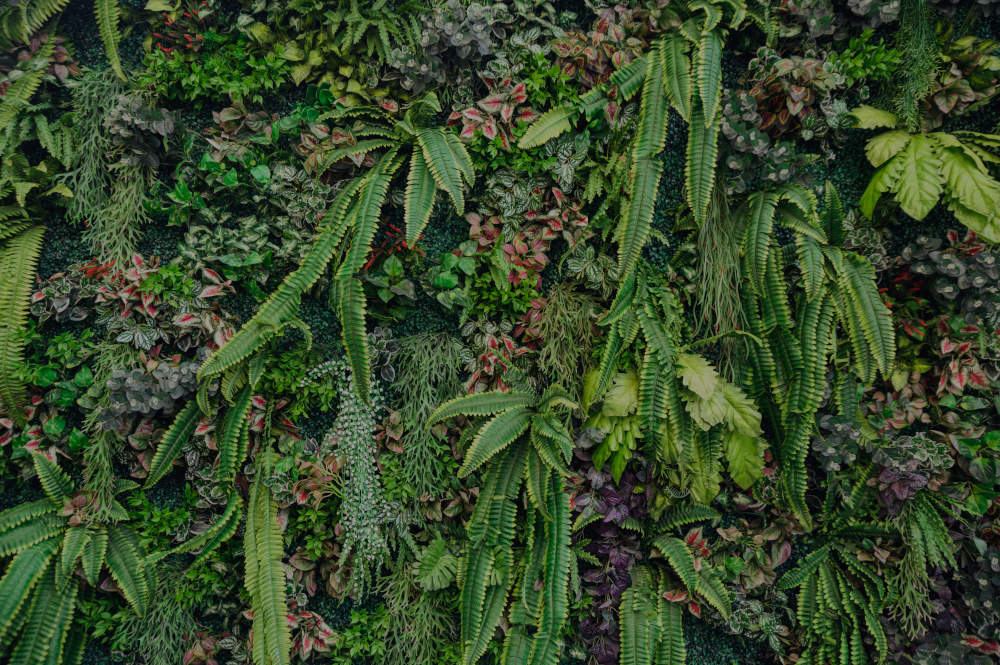 Variety of green leaves with plants decorative on wall